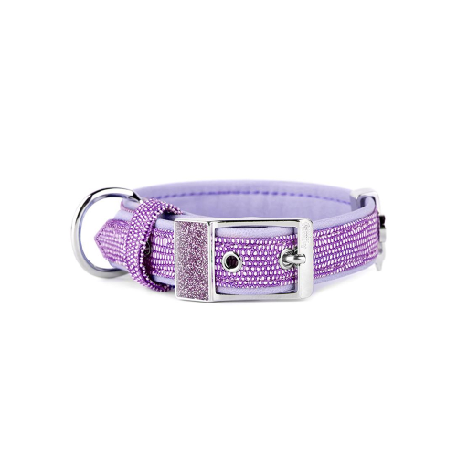 ماي فاميلي سان تروبيه طوق جلد ارجواني - 26x1.6cm