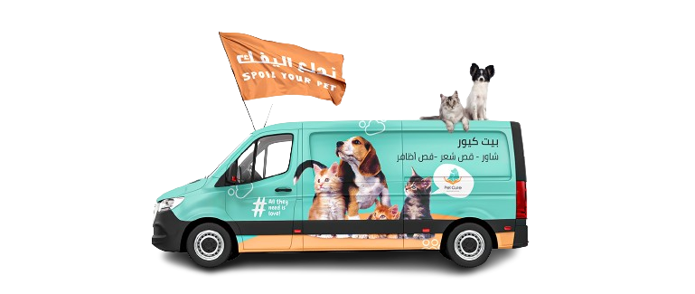 About PetCure